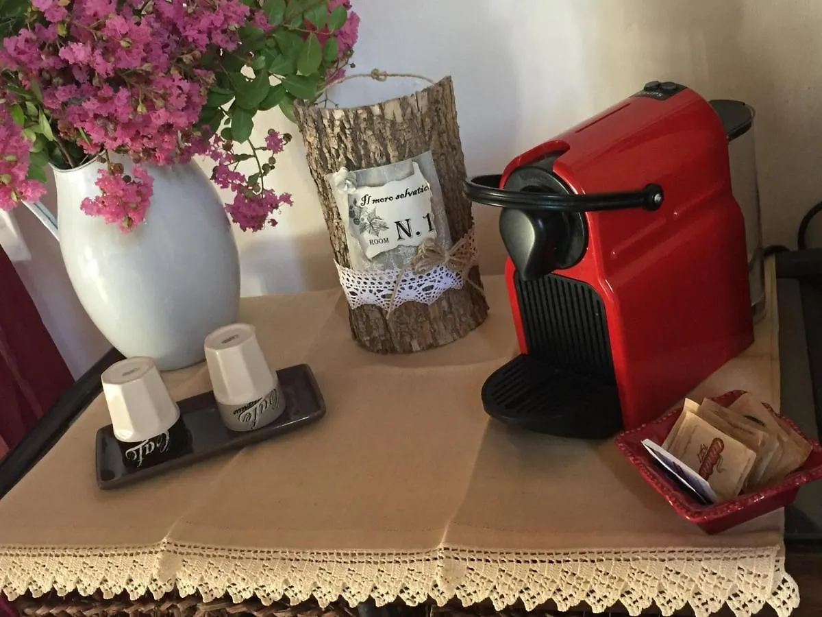 Poviglio  B&B Il Moro Selvatico לינה וארוחת בוקר