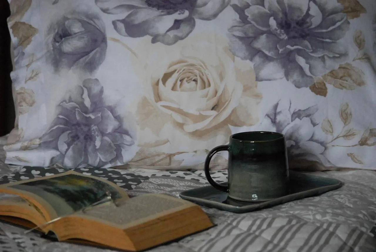 Poviglio  B&B Il Moro Selvatico לינה וארוחת בוקר Poviglio (Reggio Emilia)